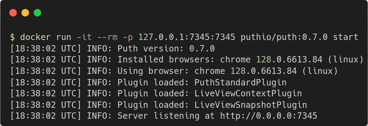 Starting a Puth server with Docker